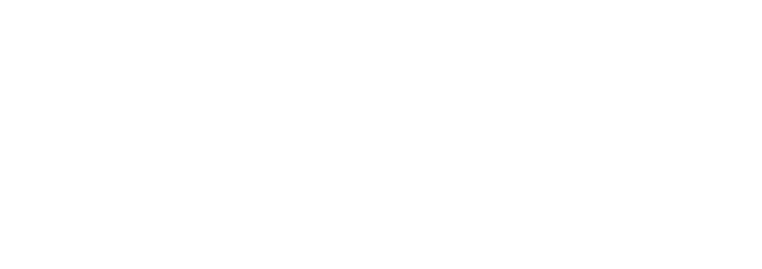 הננו - חלוציות כדרך חיים